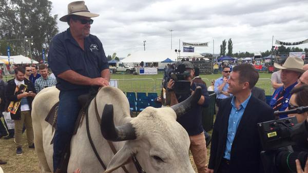Mike Baird at the Camden Show