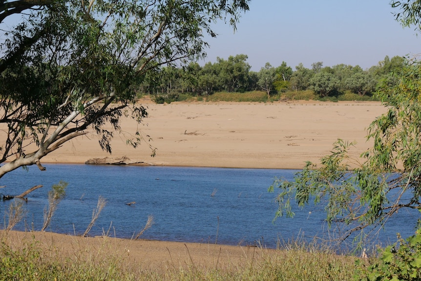 A view through trees of the Fitzroy River, with sand on the other side of the water.