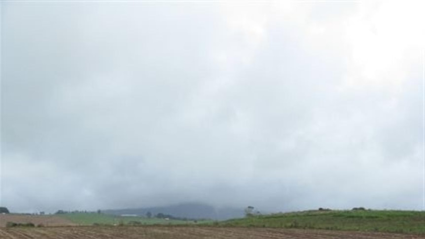 Farmers are counting the cost of crop damage as the rains ease