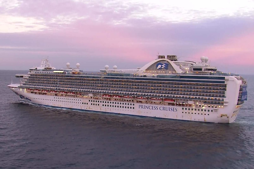 A cruise ship in deep water with a purple sky.