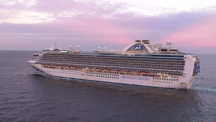 A cruise ship in deep water with a purple sky.