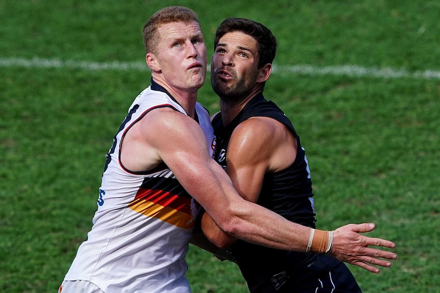 An Adelaide Crows and Carlton opponent push against each other as they get ready to contest for the ball.