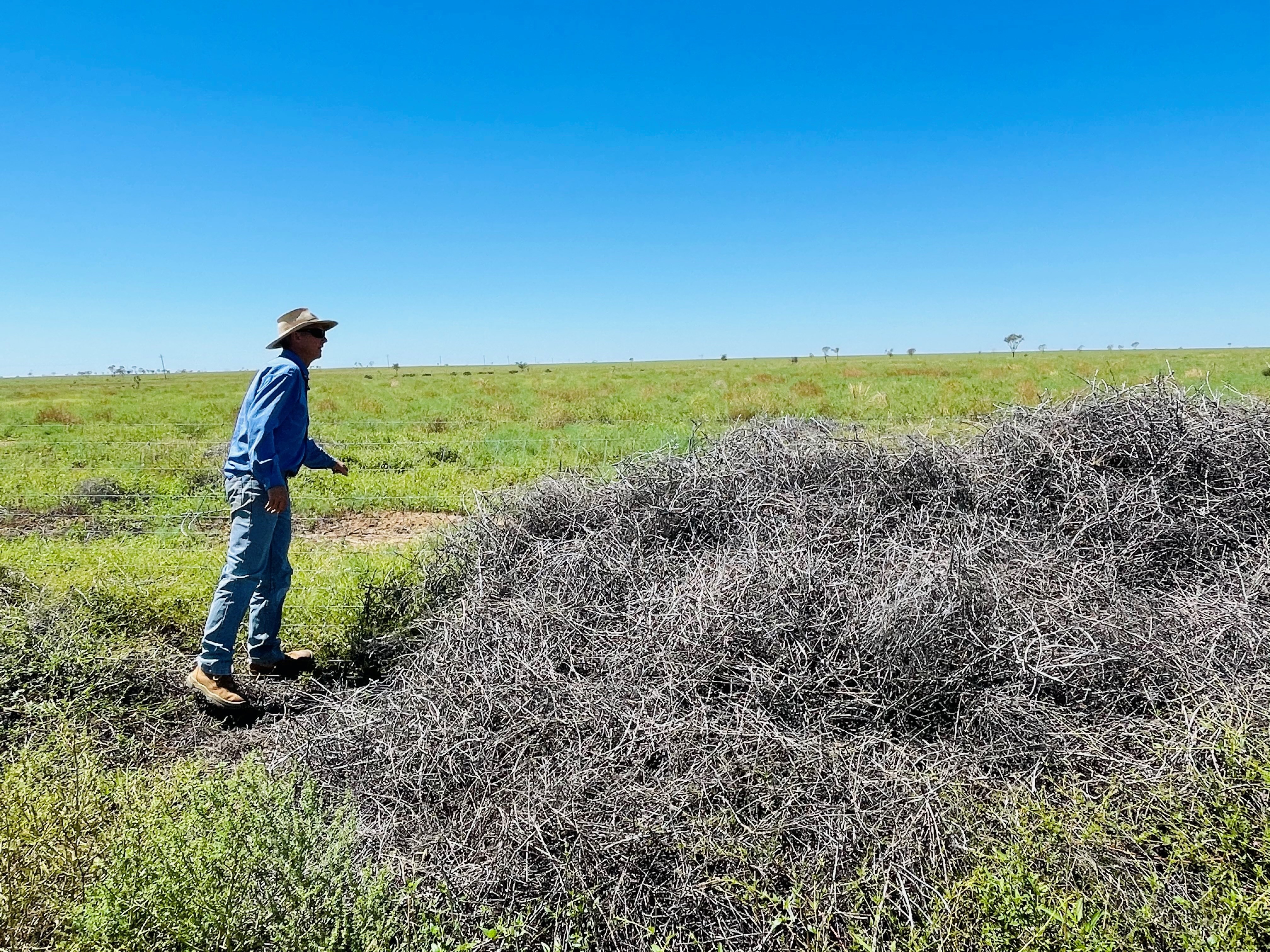 grazier looks over damaged fence 