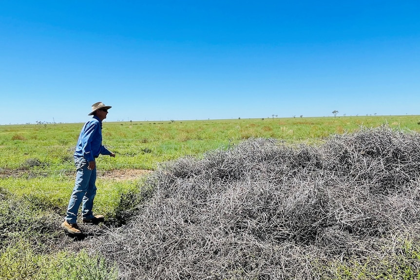 grazier looks over damaged fence 