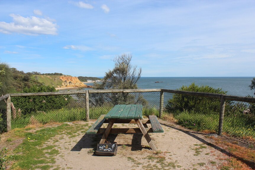 A photo of a beach and a picnic table with a small briefcase sitting next to the table