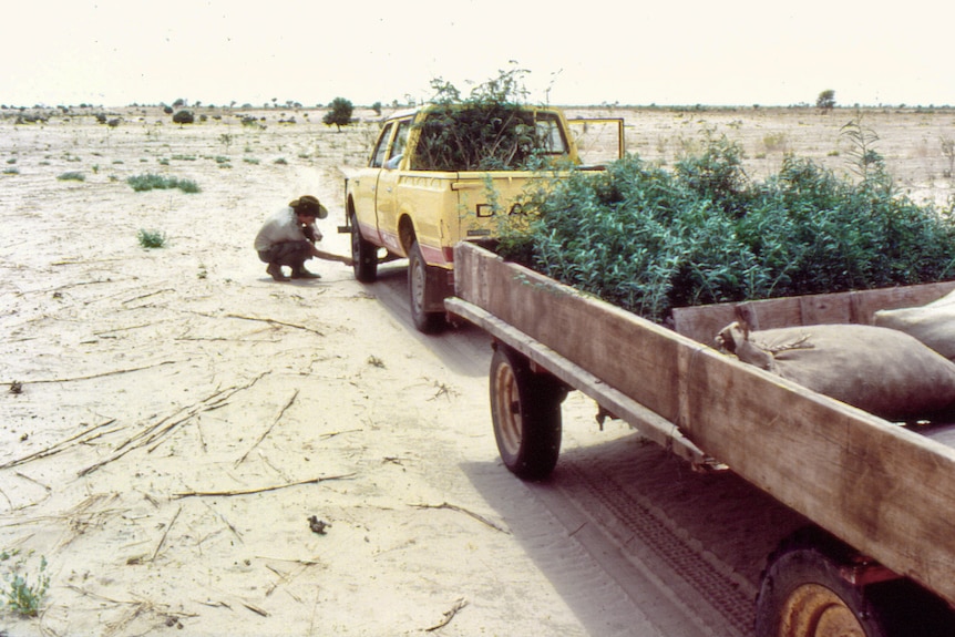 A man checks the tyres of his vehicle in the African desert