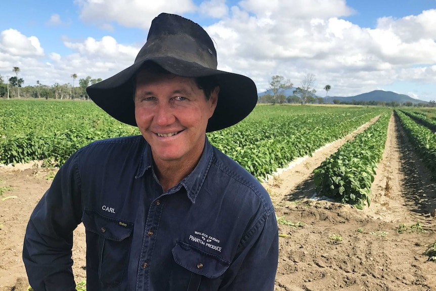 A man in a black hat kneeling in front of rows of produce on a farm, smiling.