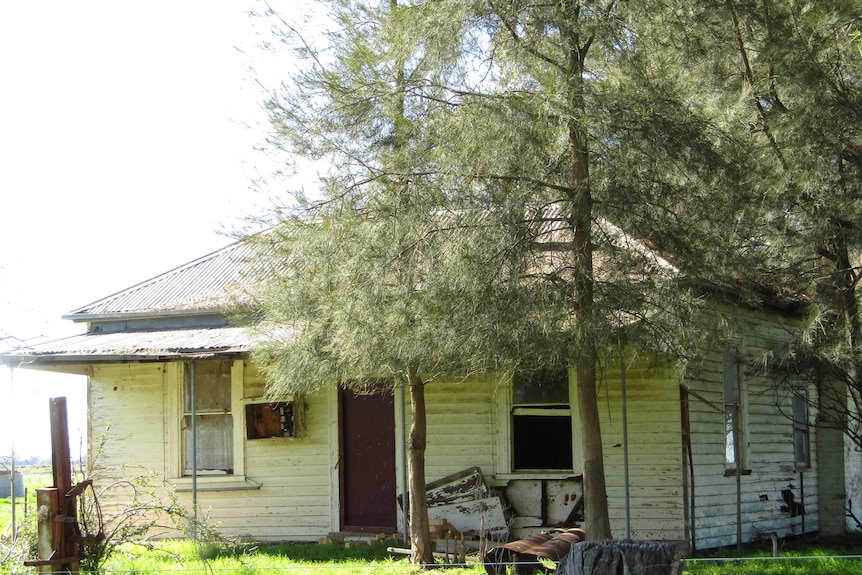 A boarded-up weatherboard farmhouse with a tin roof, with trees in front of it.