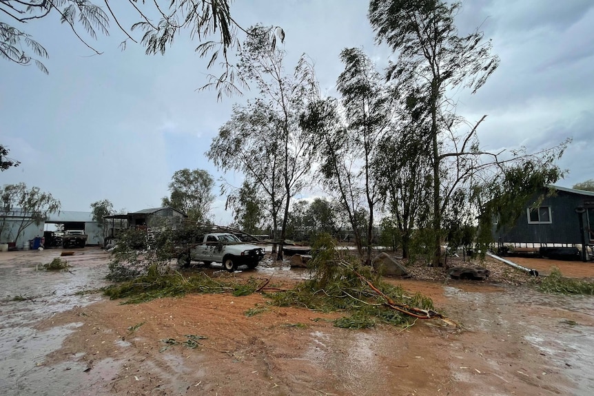 Branches down and wet ground.