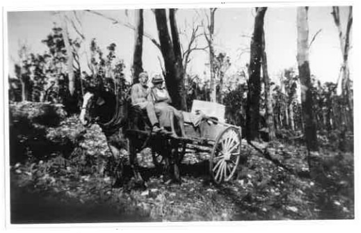 Two people sit on a horse and cart in a paddock with trees.