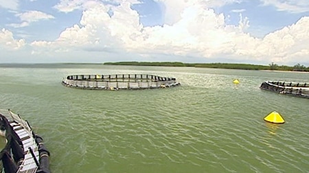 Fish farming sea cages in Darwin.