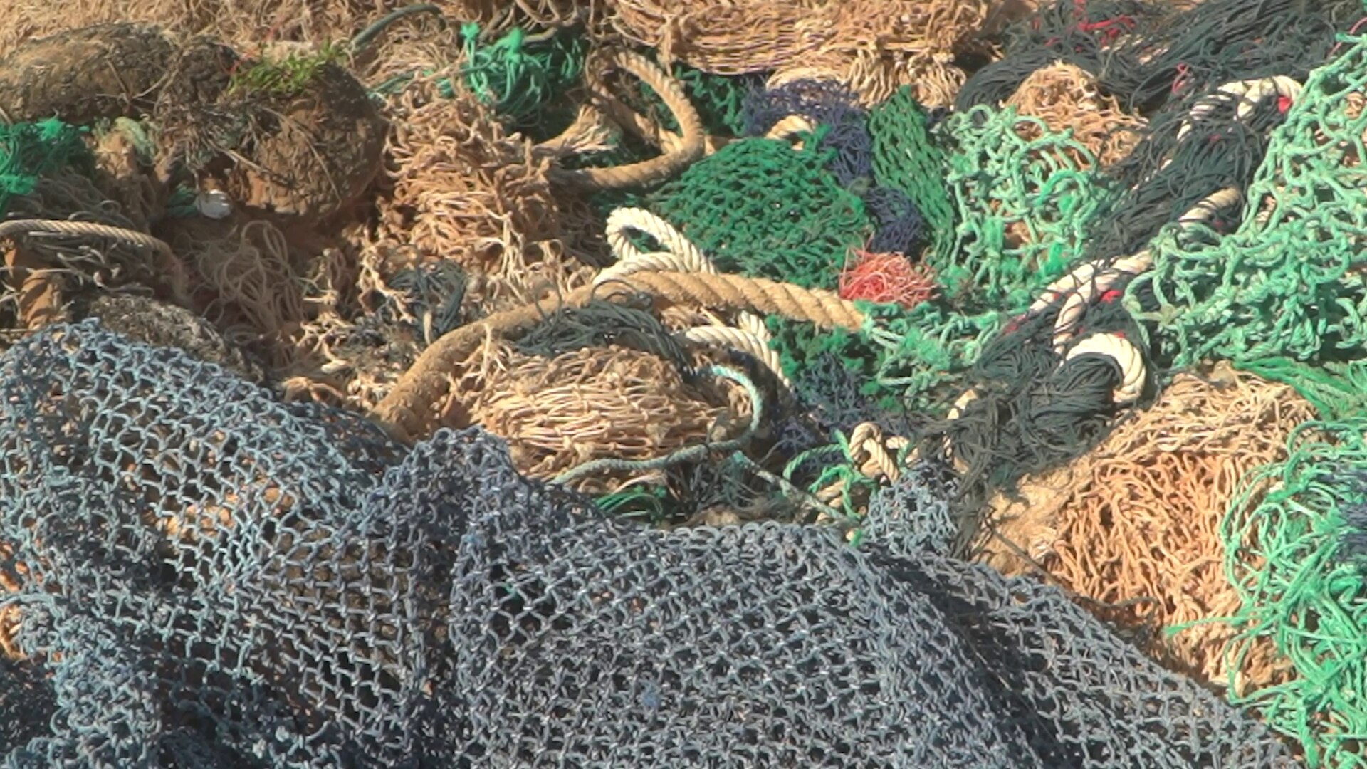 6 fish net 1Pc Six-Hole Hexagonal Portable Fishing Net – Cajun Tails & Trails