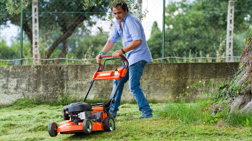 Man dressed in blue jeans using an orange lawnmower to cut grass