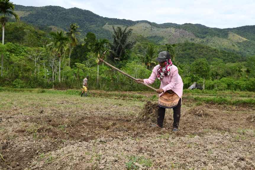A woman uses a hoe in dry soil at a demonstration site in Aceh, Indonesia. She is wearing sunsmart clothing.
