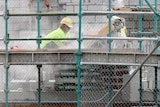 Workers on a residential construction site.