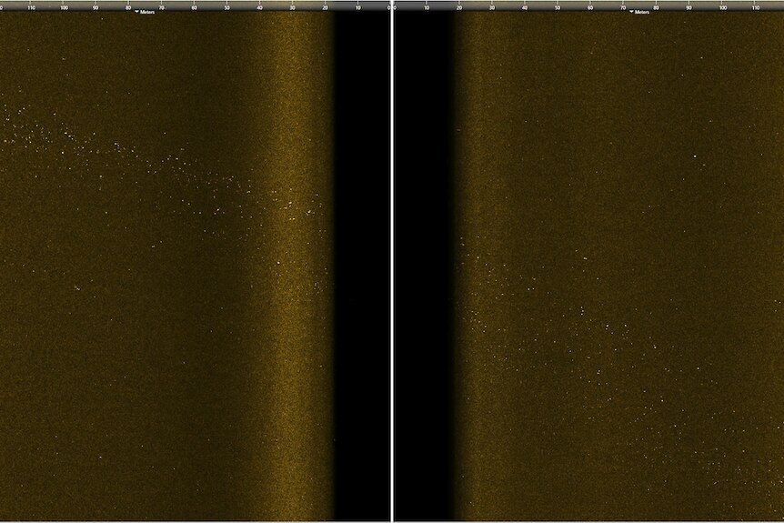A sonar image showing white dots on the seafloor.