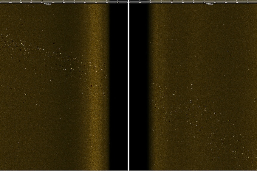 A sonar image showing white dots on the seafloor.