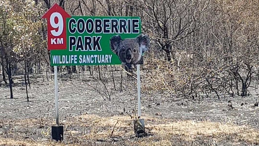 Cooberrie Park was lucky to escape serious damage in the fires