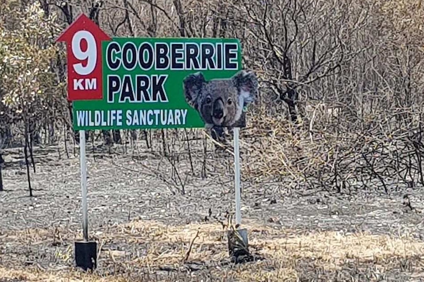 Cooberrie Park was lucky to escape serious damage in the fires