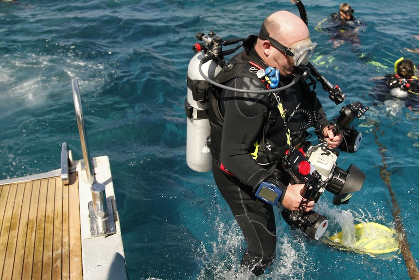 A diver takes to the water on the Great Barrier Reef