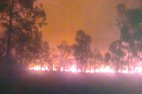 Brock Simpkins says the fire came within 25 metres of his home in Halliford area on Qld's Western Downs