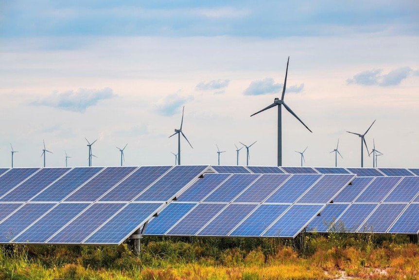 artists depiction of the Port Augusta wind farm, multiple turbines from a distance