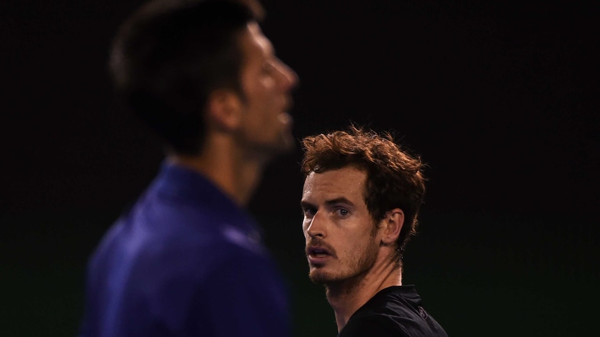 Andy Murray looks at Novak Djokovic at the Australian Open