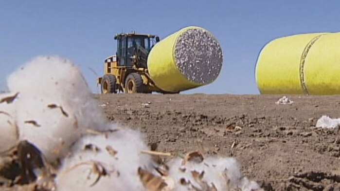 Cotton and tractor in field at Cubbie Station in far south-west Queensland