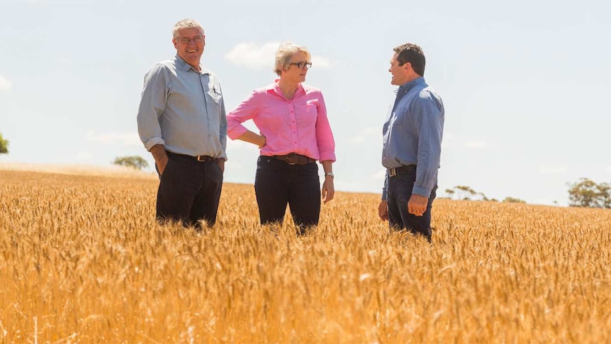 Three people, Clancy Michael, Sue Middleton and Brad Jones stand talking together in a wheat field