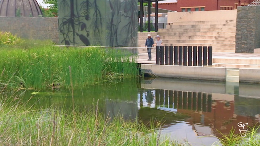 Man and woman standing at fence overlooking wetland garden