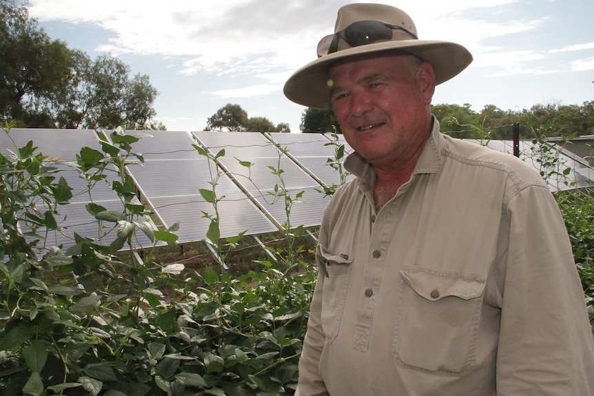 Ian Knox stands in his vegetable garden, in front of a large bank of solar panels.