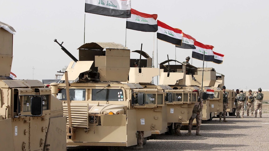 Iraqi security forces ride in vehicles travelling to Mosul.