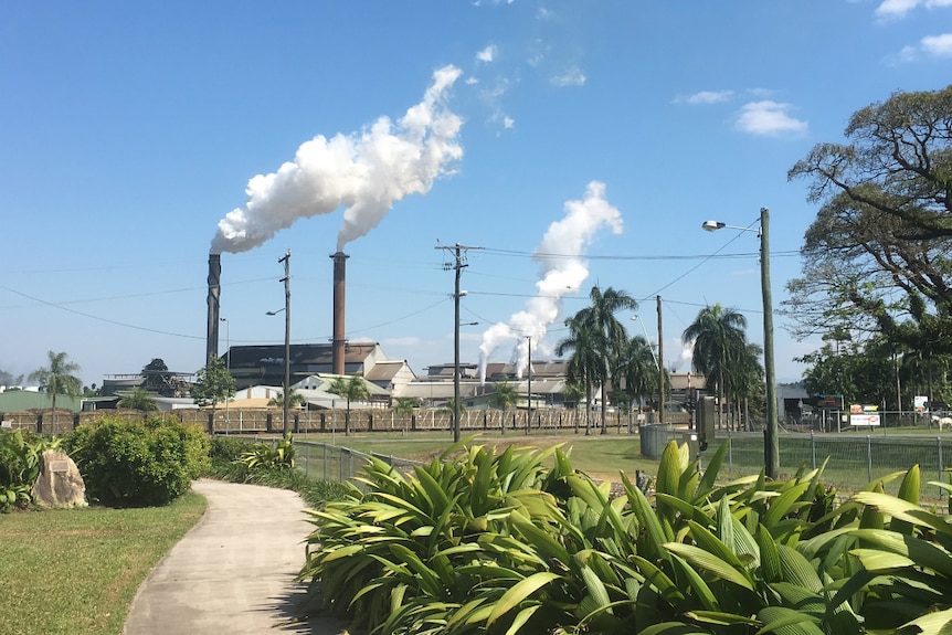 Steam blowing from the stacks at the Tully mill with bright blue skies above.