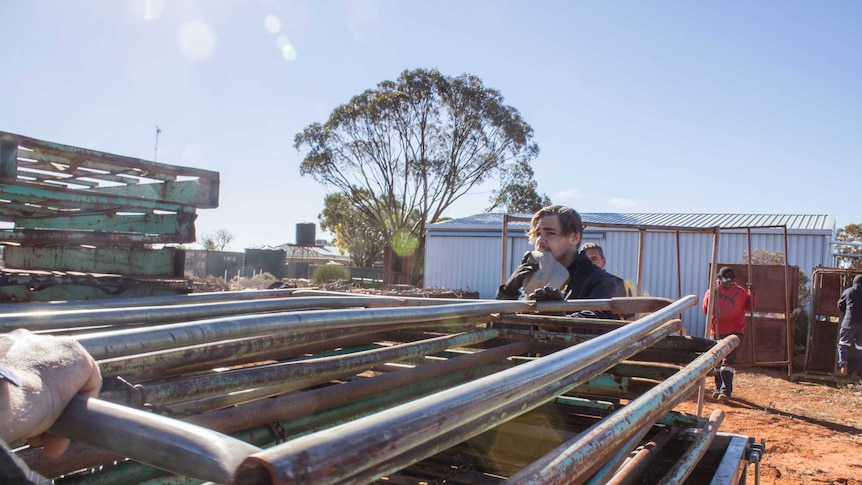 Image of people loading metal stand-up containers onto the back of a ute.