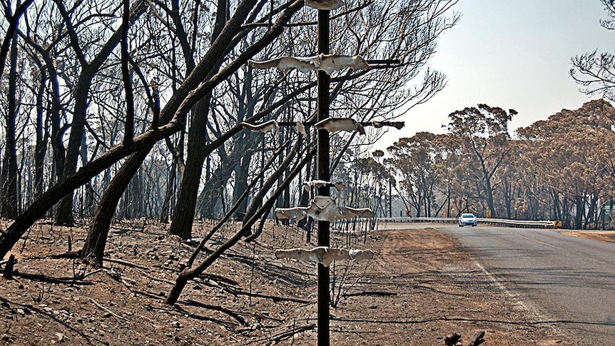 The remains of a road sign that burnt in the intense heat of a bushfire.