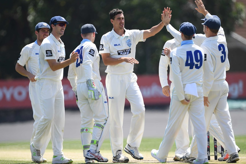 Mitchell Starc is congratulated by his New South Wales teammates after taking a Western Australian wicket.