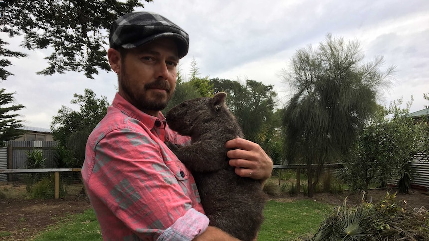 Kelso wildlife carer Brendan Dredge holding Xavier the wombat.