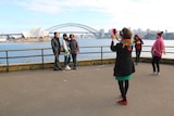 Tourists take photos in front of a view of the Sydney Harbour Bridge.