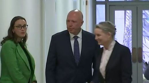 Peter Dutton and Sussan Ley in a corridor at Parliament House.