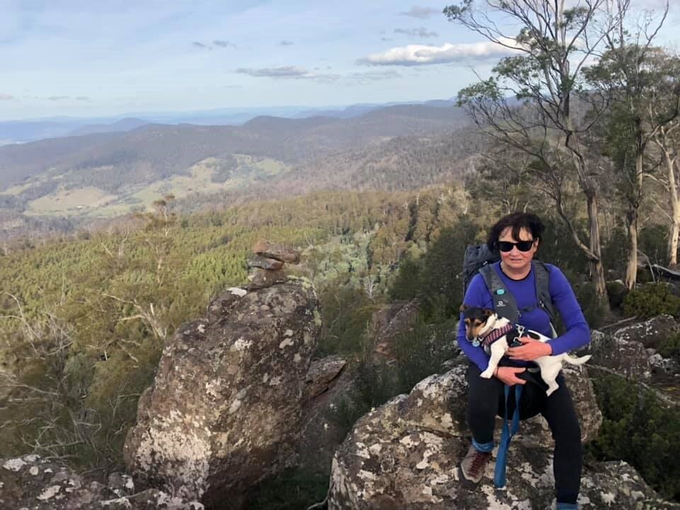 Meet Biscuit, the mountainclimbing miniature fox terrier from Tasmania