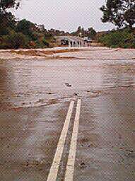 Flooded road near Leigh Creek