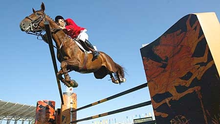 Sydney is planning its biggest equestrian event since the Olympics, as the sport recovers from the horse flu epidemic.