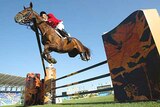 Sydney is planning its biggest equestrian event since the Olympics, as the sport recovers from the horse flu epidemic.