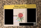 A redacted photo of one of the NSW driver’s licences discovered in a cache of exposed documents online.