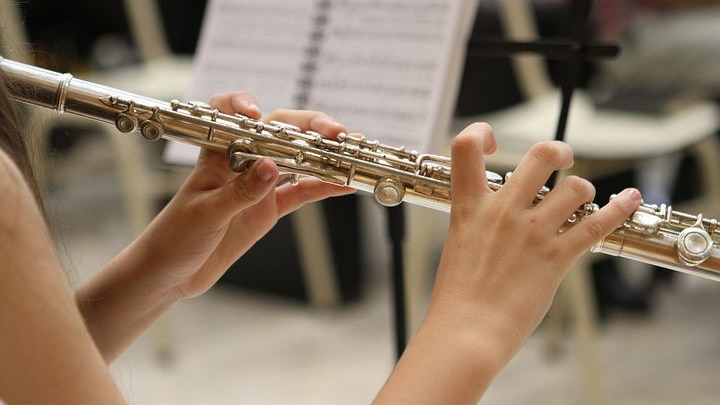 Orchestra Flute image