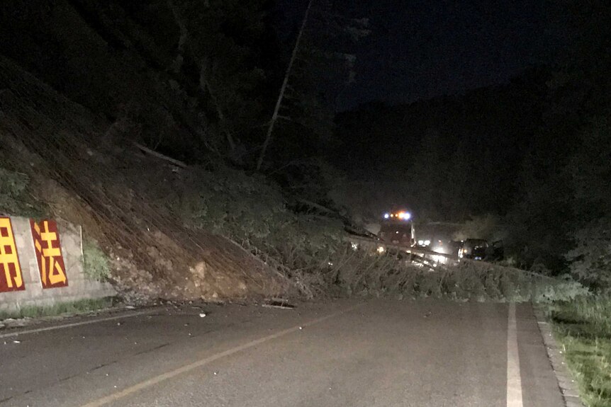 Fallen trees are seen blocking a road after an earthquake in Jiuzhaigou county.