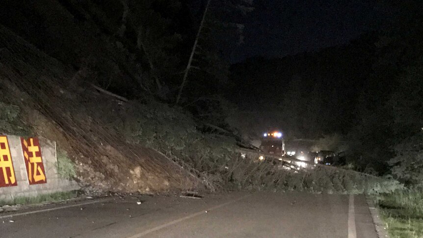 Fallen trees are seen blocking a road after an earthquake in Jiuzhaigou county.