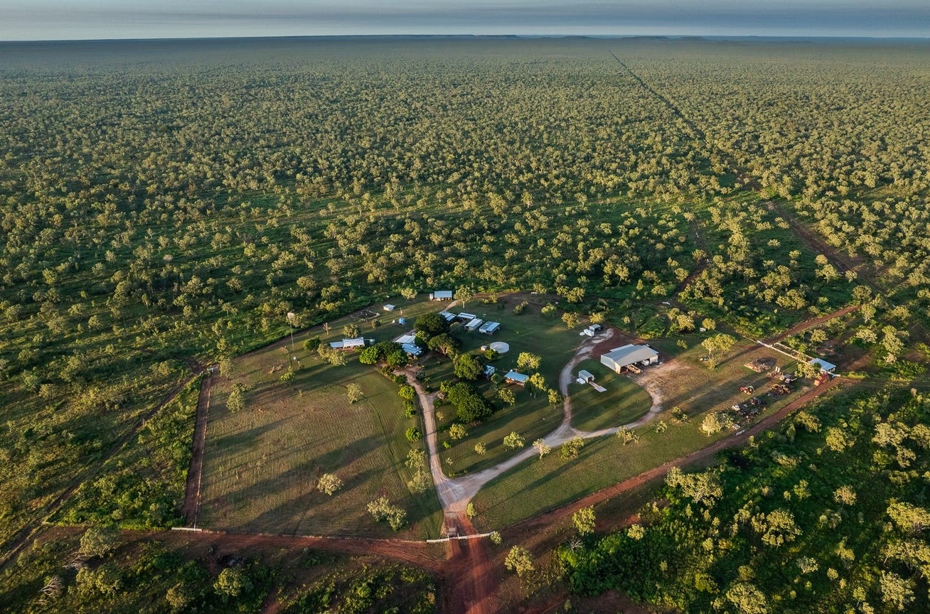 Argentinian family buys fifth NT cattle station for $44m