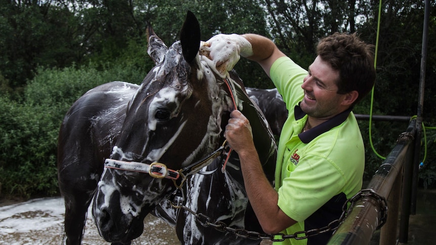 a man soaping up a horse while smiling