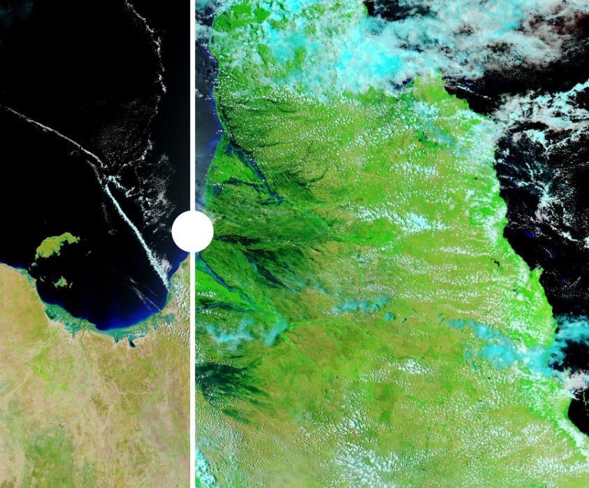 Andrew Thorpe ABC News